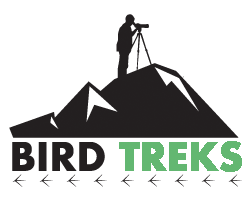 birding tours 2023